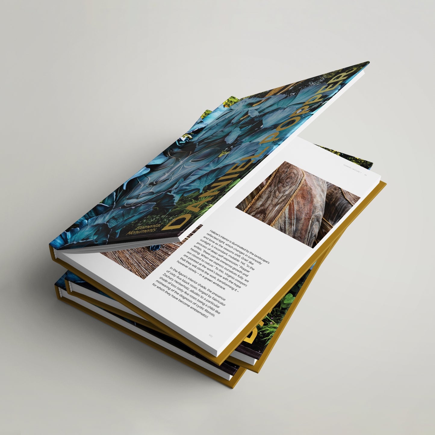 DANIEL POPPER "Elemental Monuments"