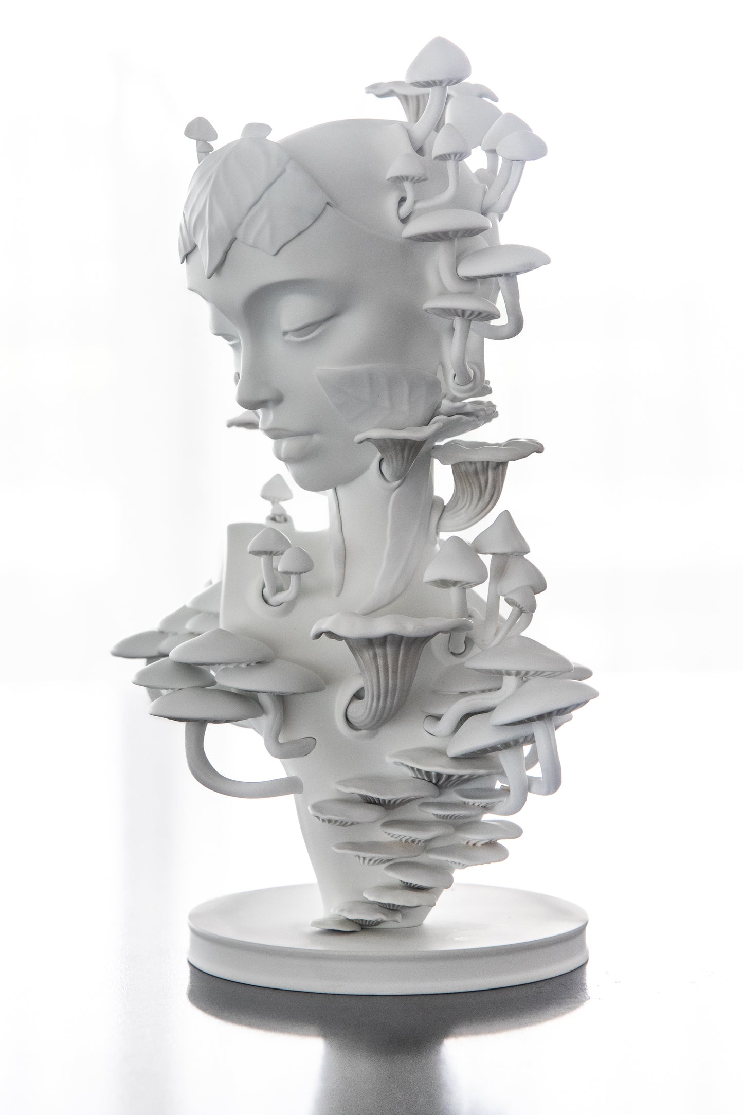 Mycelia Limited Edition Collectible